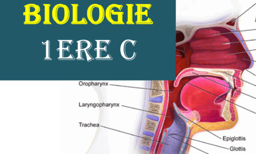 EXERCISES CORRIGES SVT 1ereC